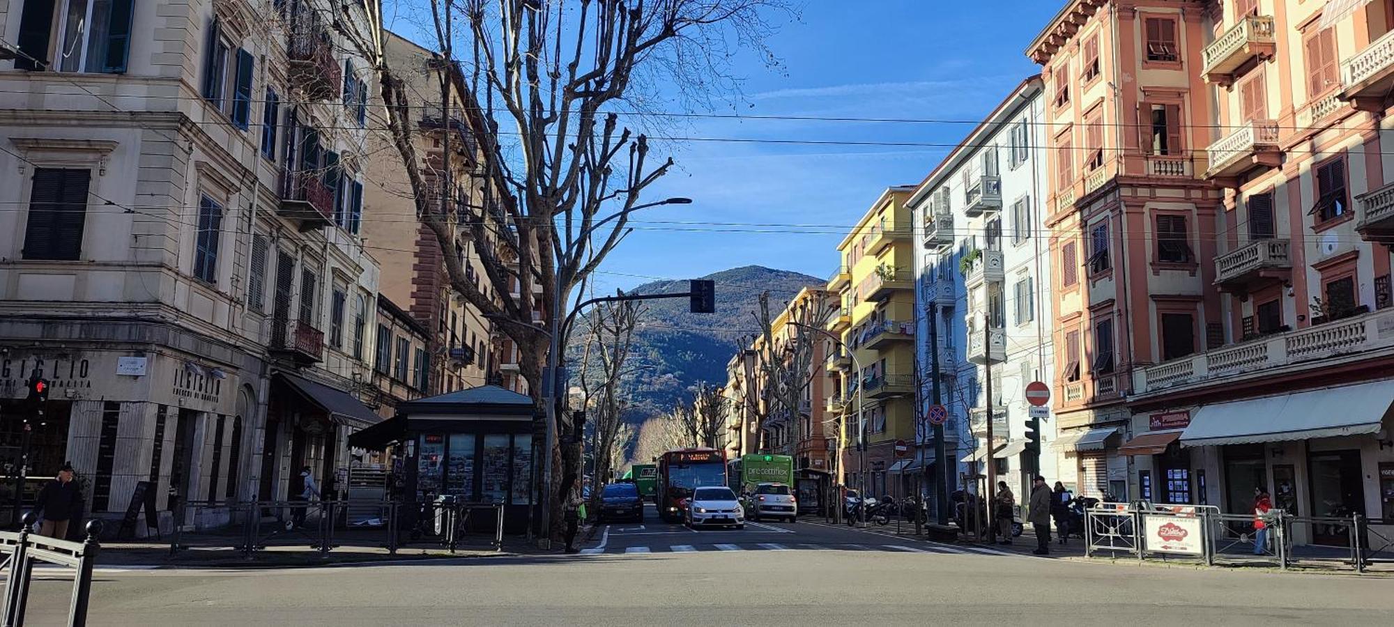 Mirdita -